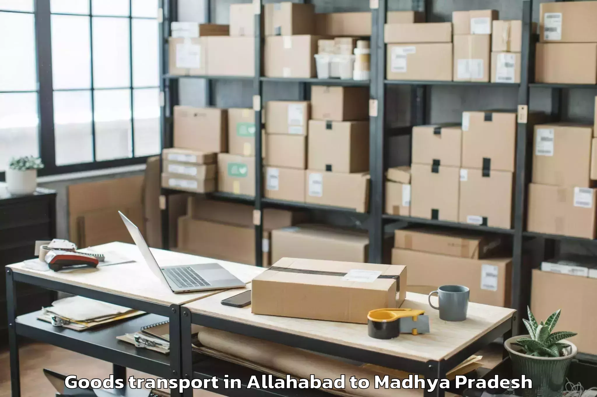 Professional Allahabad to Manawar Goods Transport